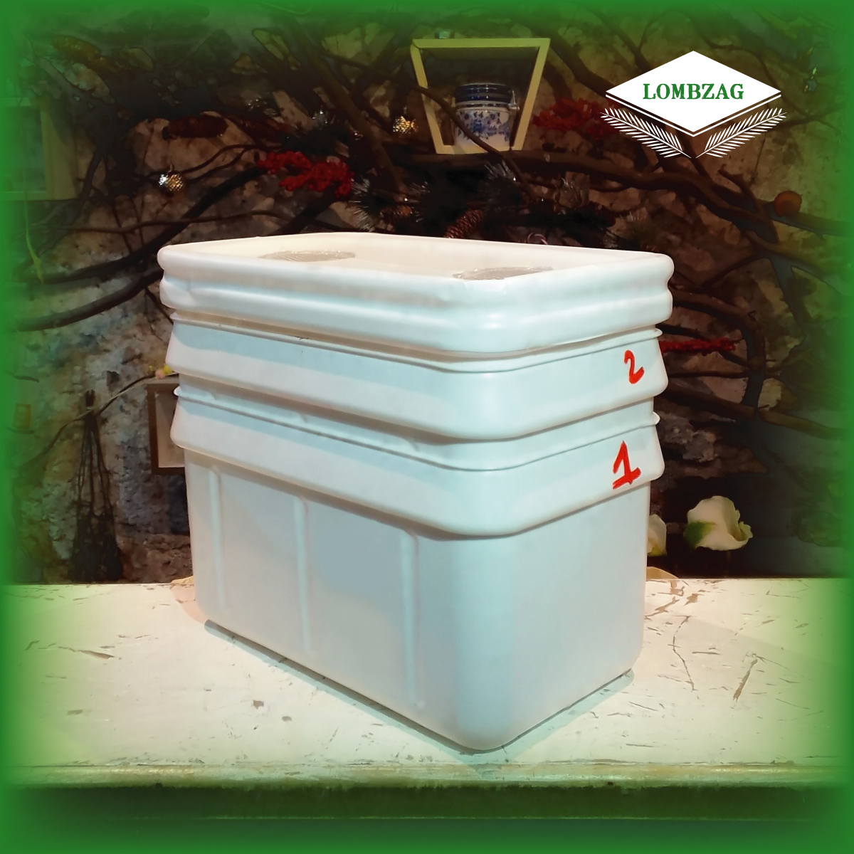 benefios de la lombricomposta lombricultura lombriabono